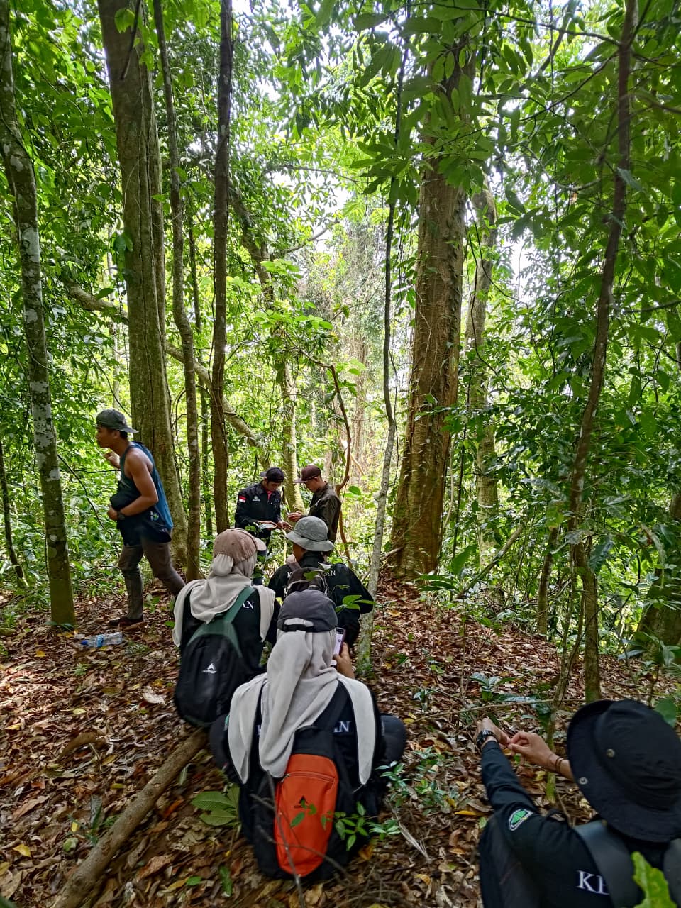 Monitoring Flora Endemik